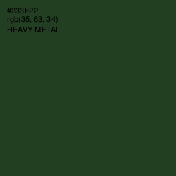 #233F22 - Heavy Metal Color Image